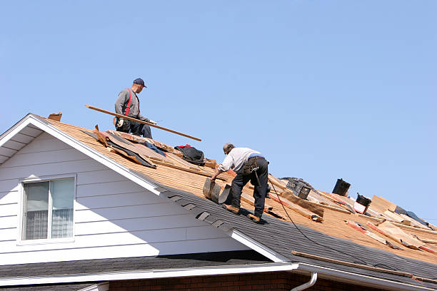 Best Roof Ventilation Installation  in Eastport, ME